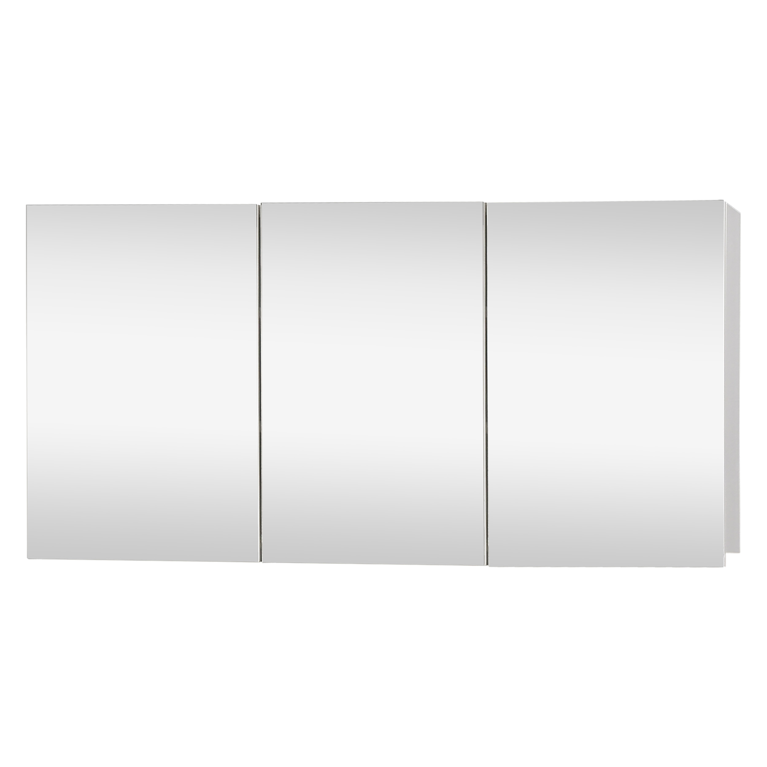 36.008.02 Differnz Brida spiegelkast  wit 50 x 15 x 100 cm