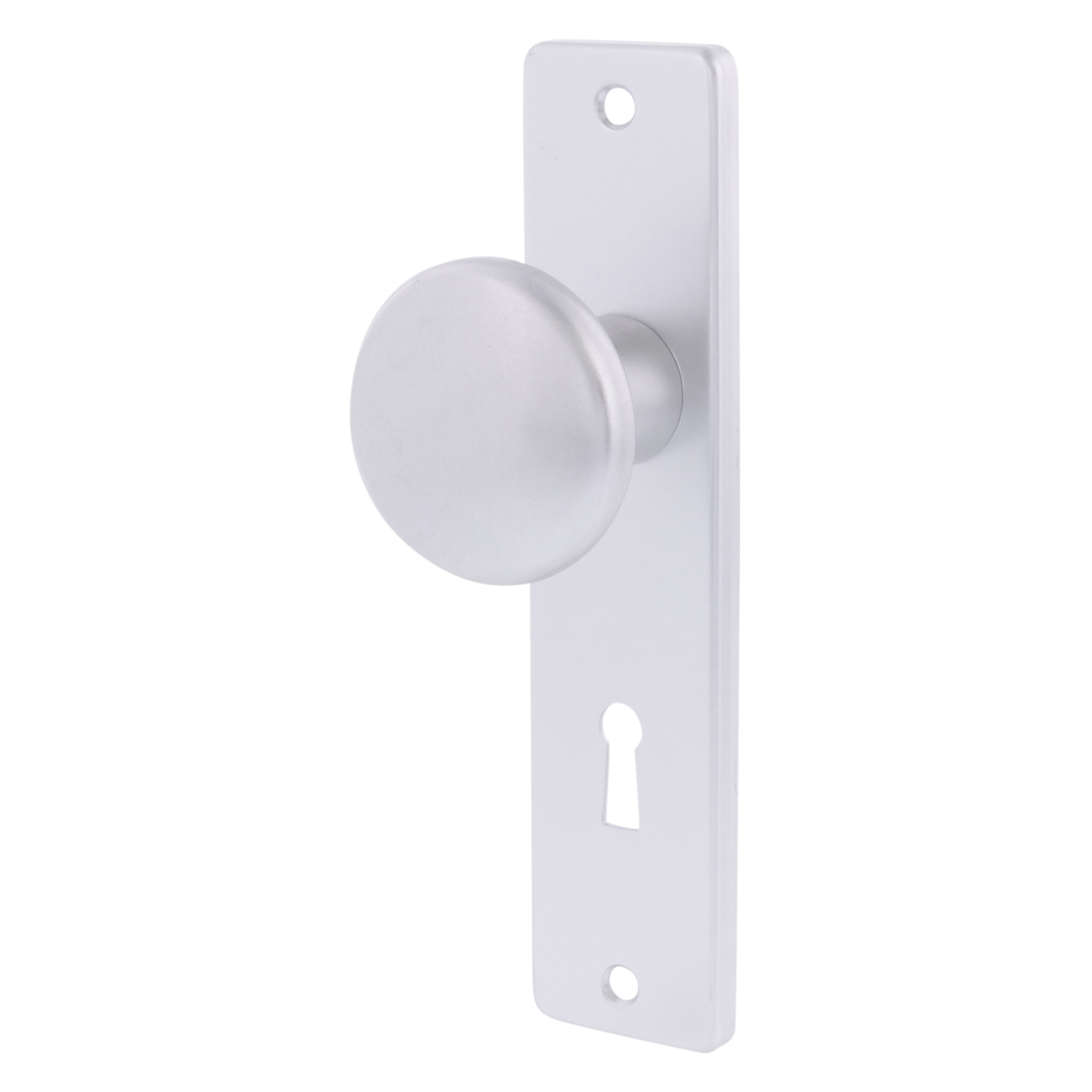 44.905.03 Ami  kastschild SL56 aluminium F1 165 x 40 mm
