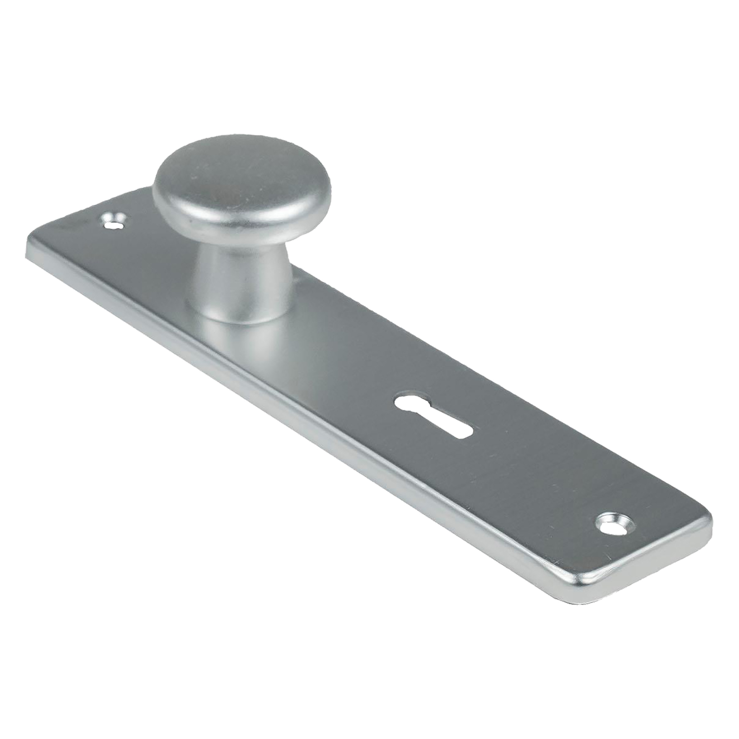 44.905.04 Ami  kastschild SL56 aluminium F2 165 x 40 mm