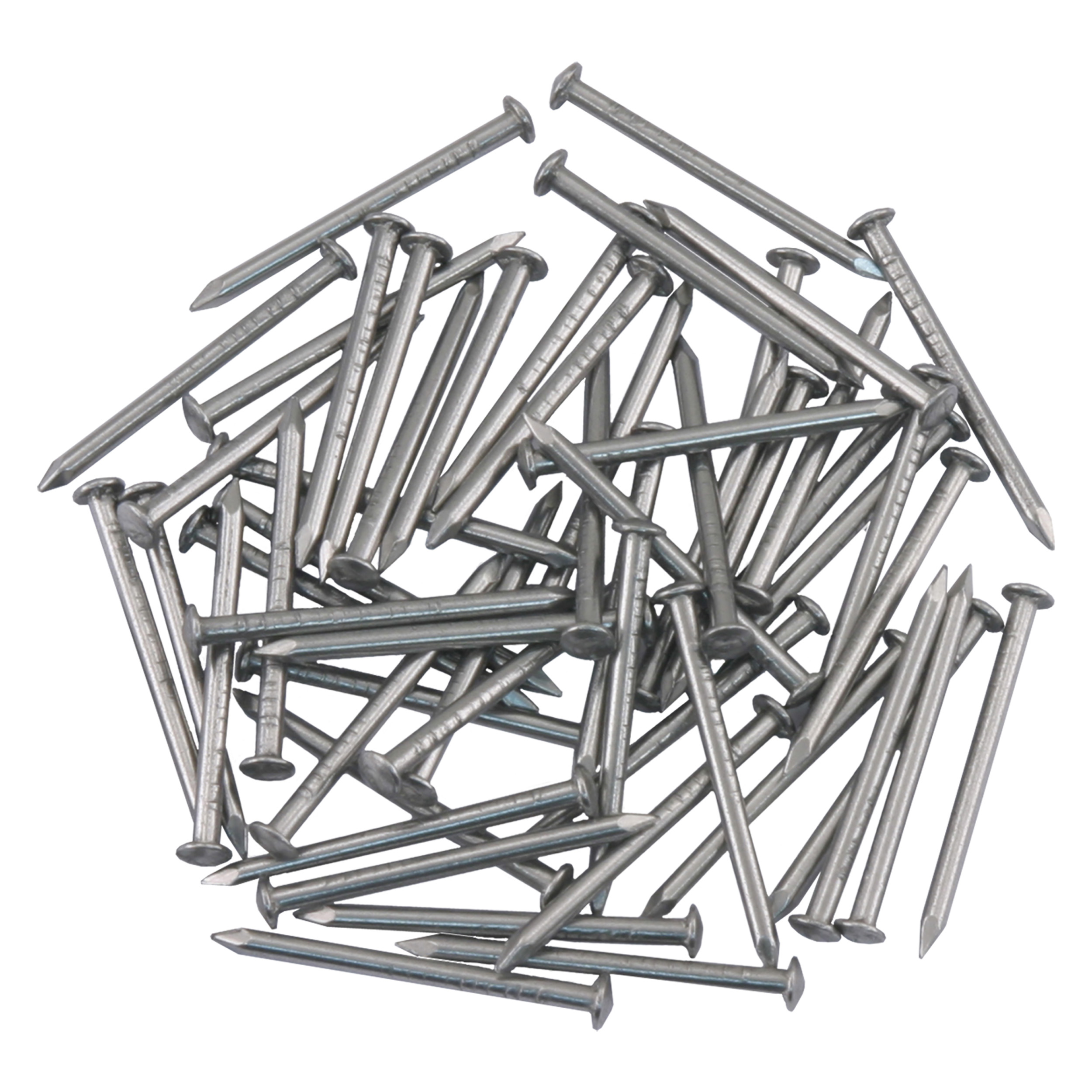 45.101.82 Ellen  tochtstripnagel  RVS 25 x 1.6 mm