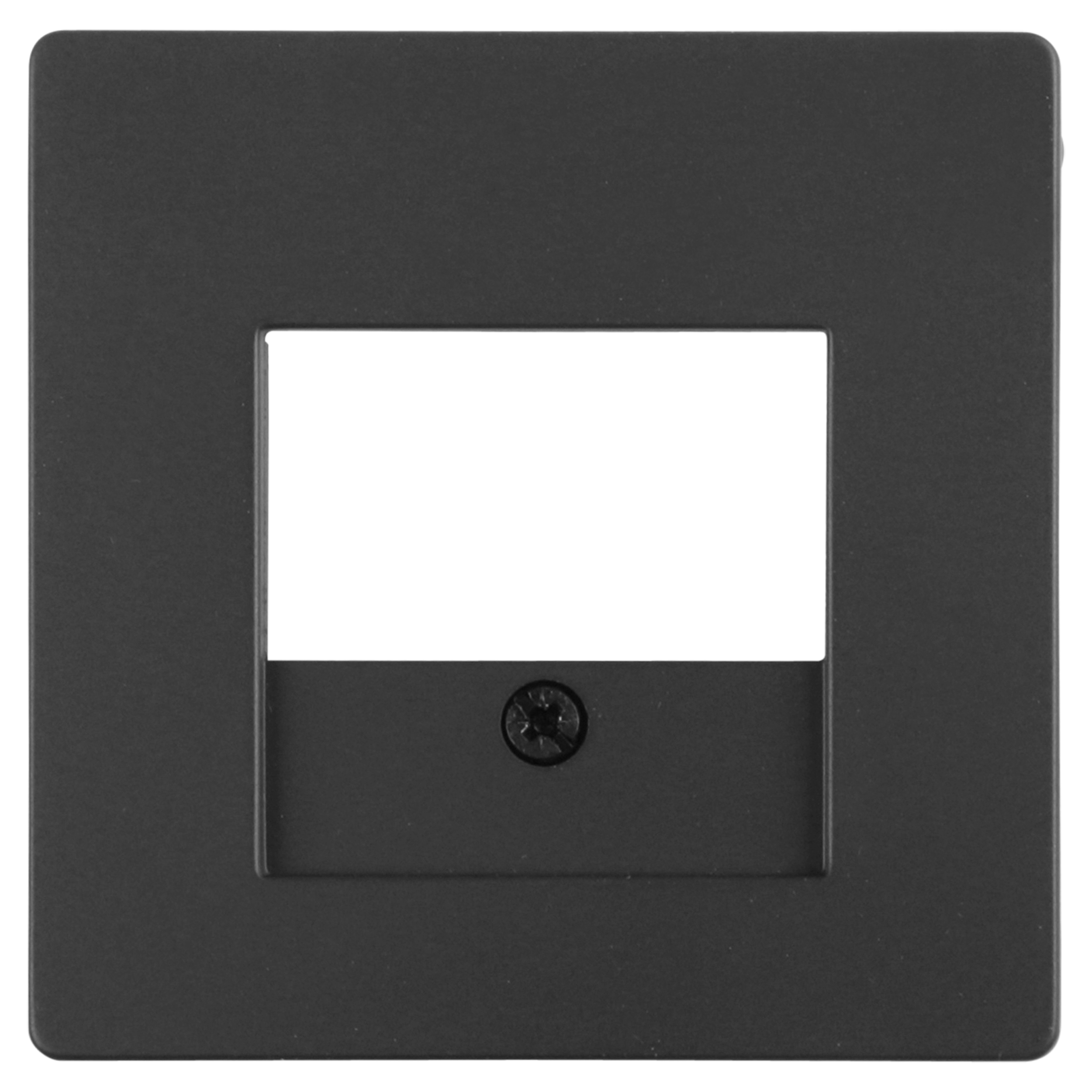 58.018.66 Berker Q1 afdekplaat TAE/USB antraciet 