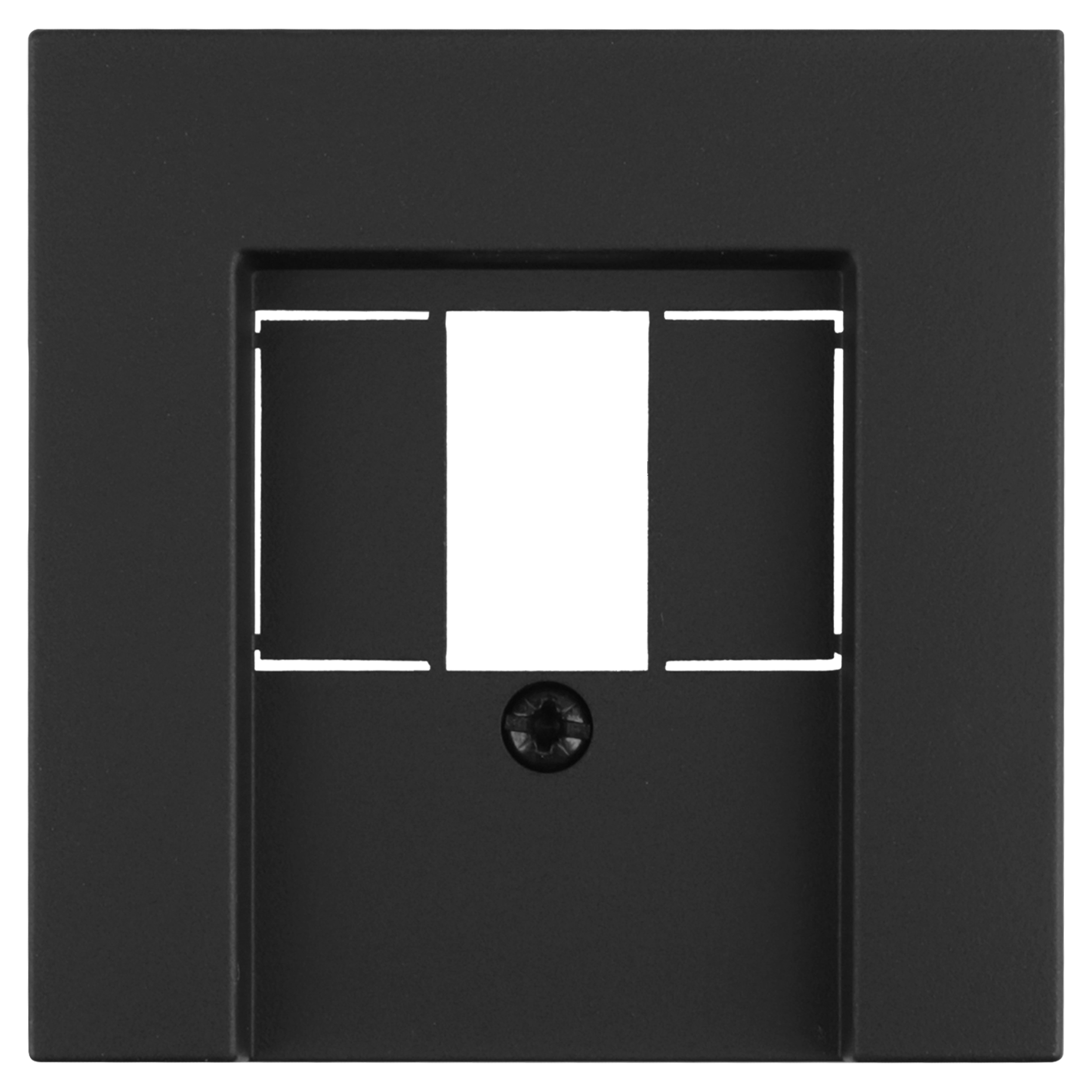 66.053.66 Gira E2 afdekplaat TAE/USB zwart 