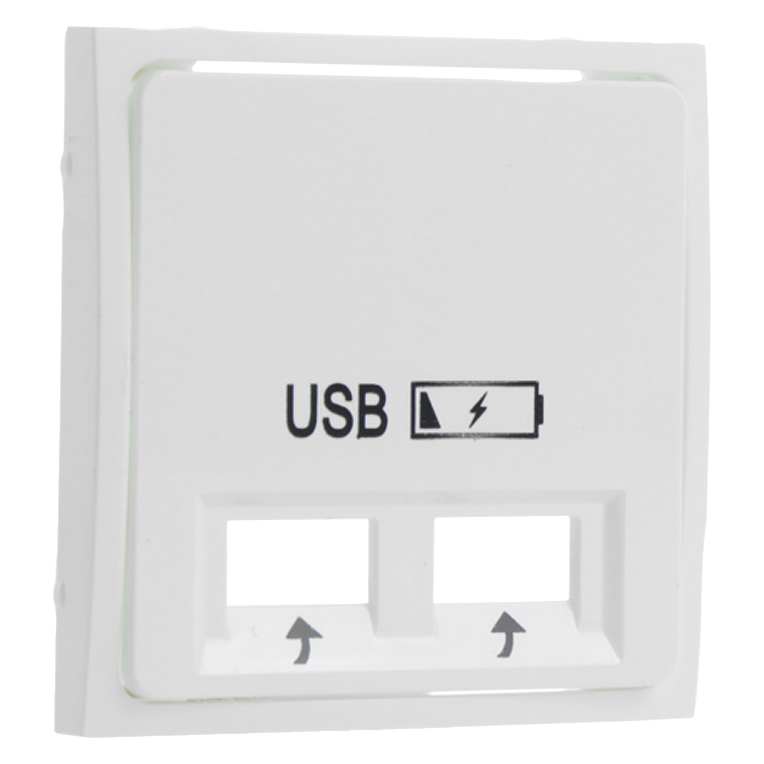 66.082.43 Q-Link S2 centraalplaat contactdoos - inbouw - 2 x USB - polarwit