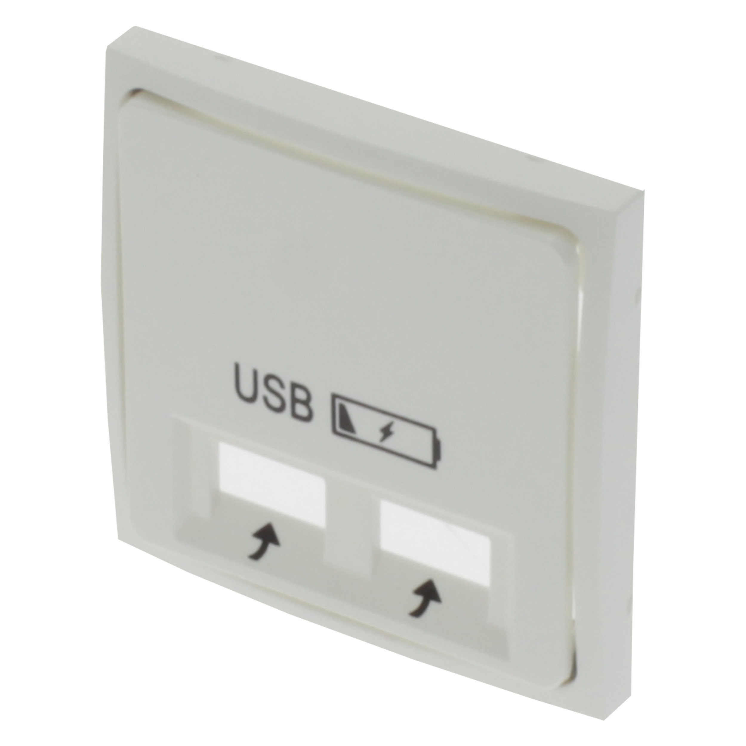 66.084.43 Q-Link S2 centraalplaat contactdoos - inbouw - 2 x USB - RVS