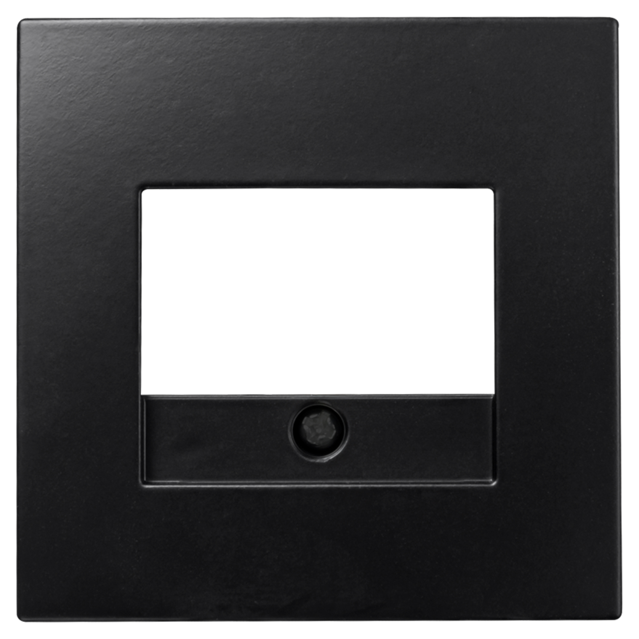 66.117.66 ION Industries E1 centraalplaat TAE/UAE/USB mat zwart 55 x 55 mm